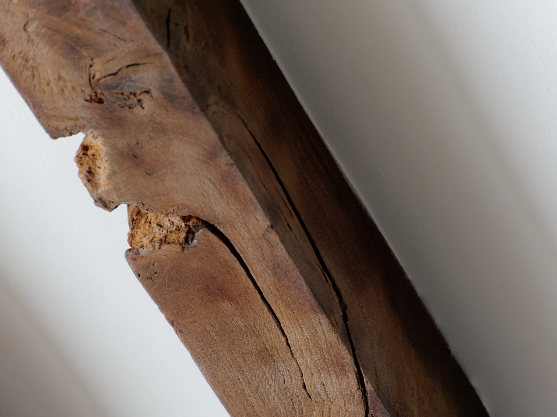 Read more about the article Jak chronić swój dom i drewno przed szkodnikami?